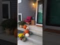 Happy October 1st 🧡 #falldecor #porchmakeover #frontporch