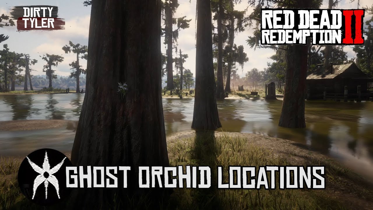 All Ghost Orchid Locations in Red Dead Redemption 2 RDR2 YouTube