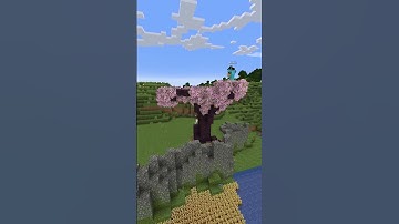 A Totally NORMAL-SIZED Starter Base Timelapse