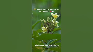 🌸 سورة الكوثر بصوت خاشع يُلامس القلب | استمع وارتقِ بالروح 💖