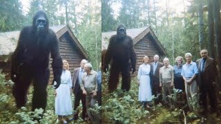 Family Hid a Bigfoot for 50 Years. Then the Feds Found Out. What They Did.. – Sasquatch Story