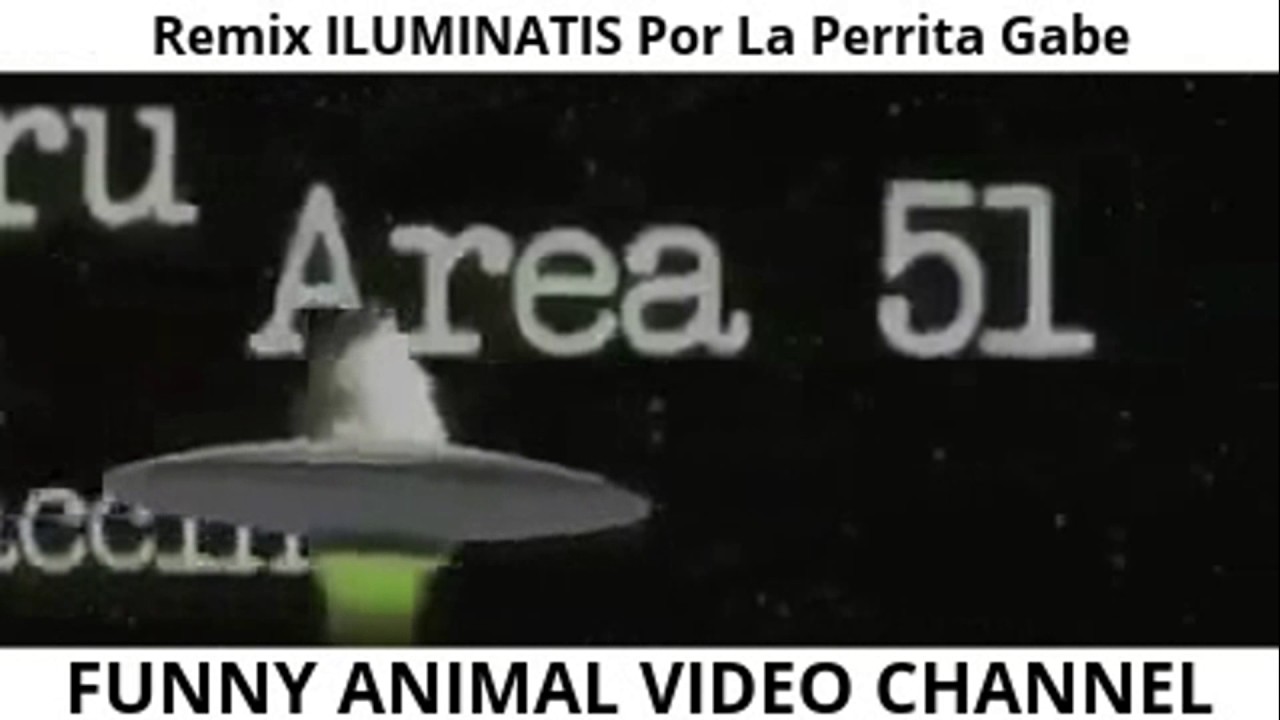 REMIX De 👽 ILUMINATIS 😨 Por La Perrita Gabe 🐶[FUNNY ANIMALS VIDEO CHANNEL]