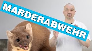 Marderabwehr | Einen Marder erfolgreich aus dem Dach vertreiben vom Profi erklärt 2017