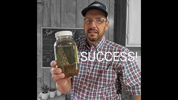 We Made Our Own Colloidal Silver