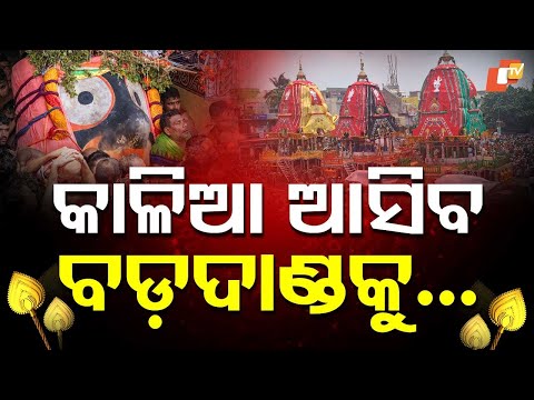 Devotees Rejoice as Nitikanti Ritual Begins atop Ratha in Puri