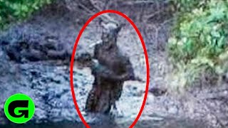 TOP 5 REAL STRANGE CREATURES CAUGHT ON CAMERA & SPOTTED IN REAL LIFE!