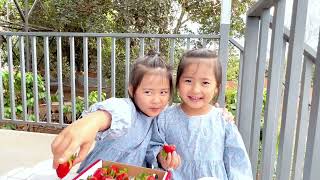 BƠ CÀ CHUA trải nghiệm ăn dâu tây mà vị nó lạ quá|two adorable twins eating strawberries