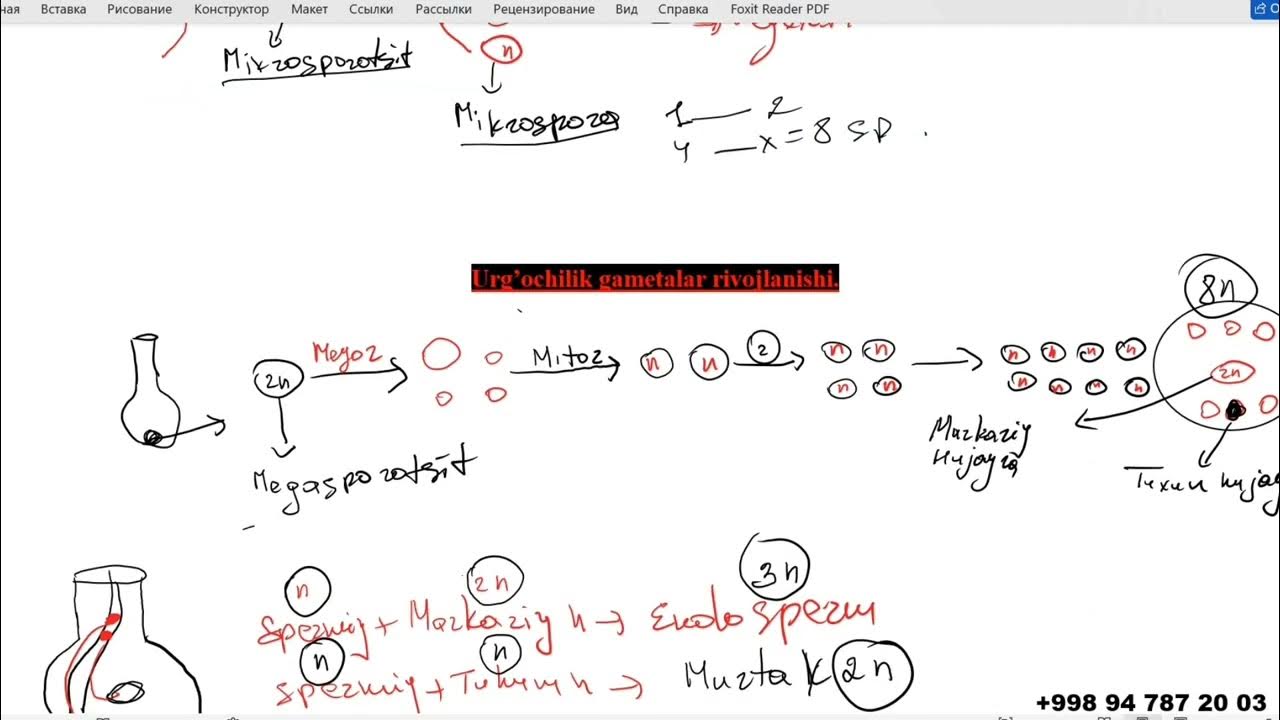 Yosh mulat ayollar ishtirokidagi porno Chiroyli yosh ayol tor pushti dildo bilan bokiraligini silaydi va baland ovozda nola qiladi