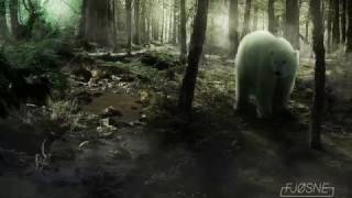 Polar Bear in the forrest - Photoshop Breakdown screenshot 2