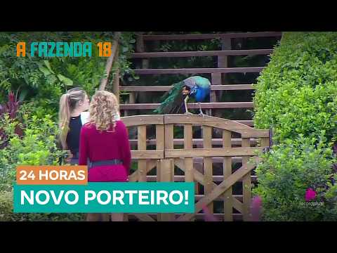 5539311 ERP FA18 2110 PAVAO PORTER