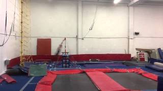 Celebrity Antonio Castro Gymnastics Net Worth