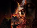 #shortvideo #harharmahadev 🙏