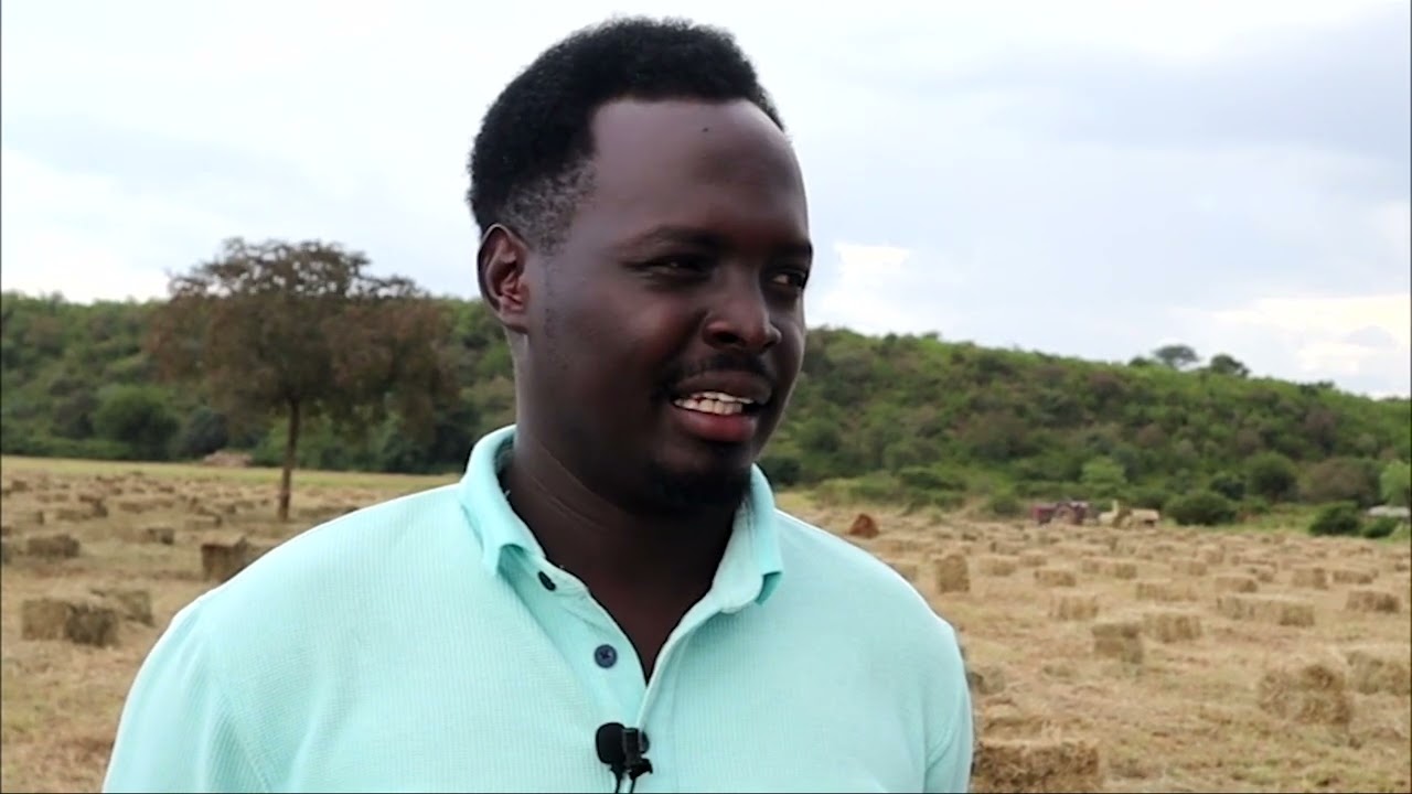 Curbing Feed and Food Loss in Baringo Kenya