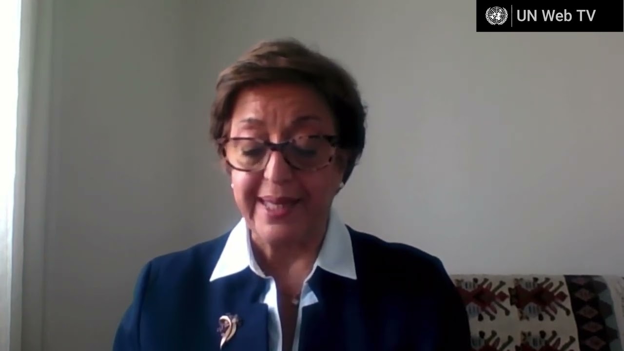 Promotion and protection of all human rights, civil, political, economic, social and cultural rights