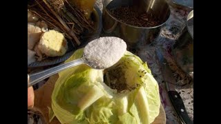 The Power of Plants - Natural Remedies