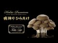 【8月】霜降りひらたけレシピ 柔らかポークの山椒炒め/酸辣湯