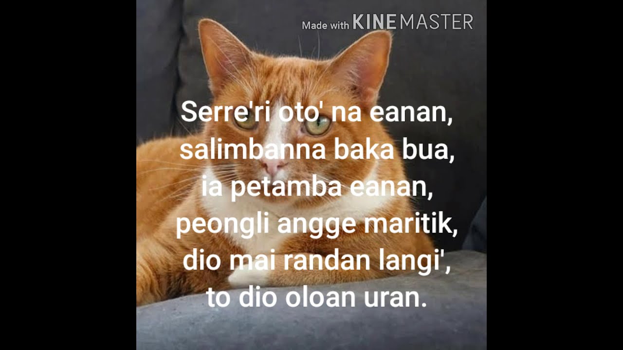 Ulelean pare : serre' datu