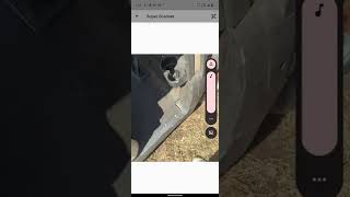 Introduction to creating an inventory scanning session with the AIMS app. screenshot 3