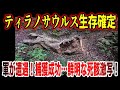 【ゆっくり解説】鮮明な死骸激写！軍が遭遇！捕獲情報も…ティラノサウルスの生存説と特徴【古代生物生存】