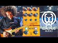 Three Amps, Six Cabs, Pedal Platform & Lush Tones! | Walrus Audio ACS1