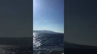 Oshima island by jet ship 19NOV2022