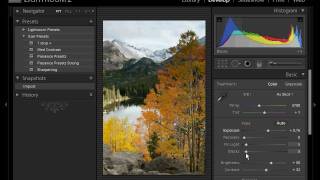 Yellow Wood Guiding - Lightroom 2 Develop module Part 1