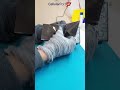 Cracked screen? Dont worry, We've got the fix!