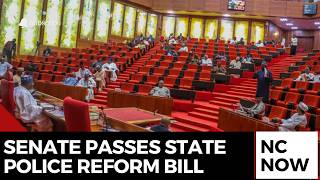 Senate Passes State Police Bill After Historic Plenary Session on Security Reform