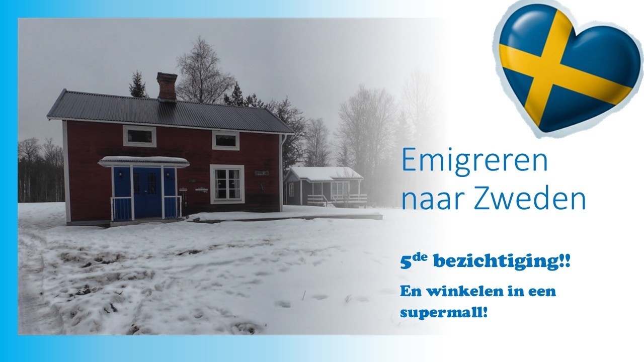 Vlog 22 - Emigreren naar Zweden, 5de bezichtiging!! en winkelen in een grote supermall in Växjö