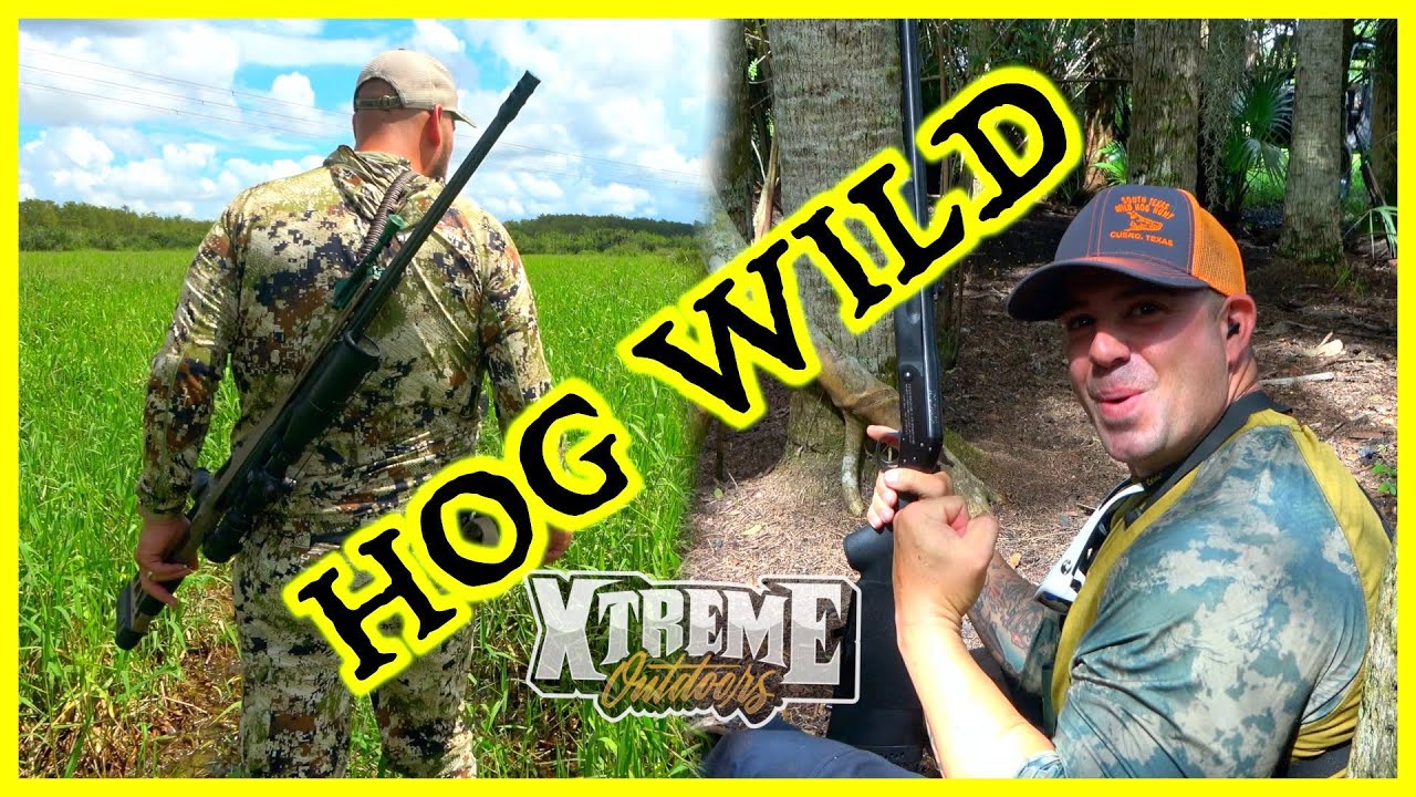 We Went HOG WILD!! ( .338 Lapua vs .4570 Florida Hog Hunt) YouTube