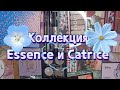 Коллекция Essence и Catrice 2022 | Все мои тени Essence и Catrice 🙈 @Pelagey M