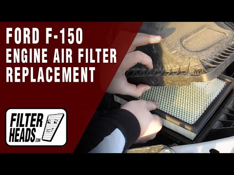 air filter 2019 f150