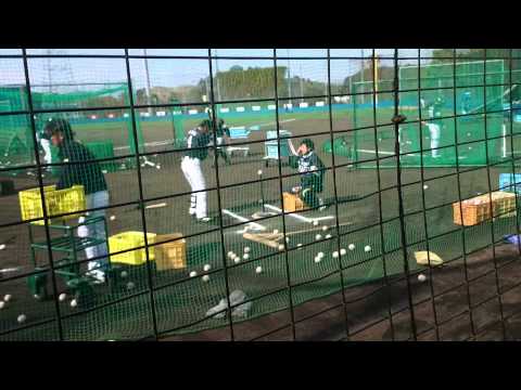 2015 SBホークス 金子圭輔 T打撃（左打席）