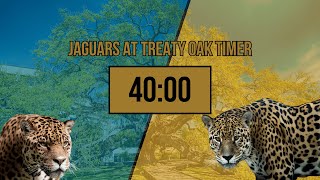 40 Minute Jaguars At Treaty Oak Timer