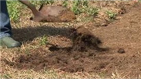 Grass & Lawn Care : How to Prepare Soil for Sod Grass