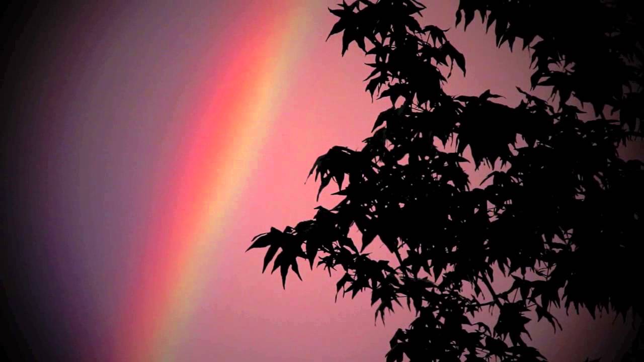 Luca Zeni - Toxic Substance (official video)