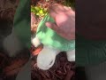 Outside ASMR | Ceramic Turtle | Bark | Leaves | Scratching and Tapping| Birds | LoFi ASMR | #nature