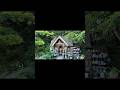 ジブリの世界のような森に行きました🌳#ジブリ #ジブリ好きな人と繋がりたい #studioghibli #ぬくもりの森 #浜松カフェ #浜松市 #vlog #vlogs #vlogger
