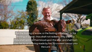 Numbers 18 KJV