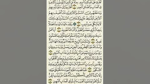 سورة سبأ من الآية ٨ إلى الآية ١٤بصوت القارئ ماهر المعيقلي