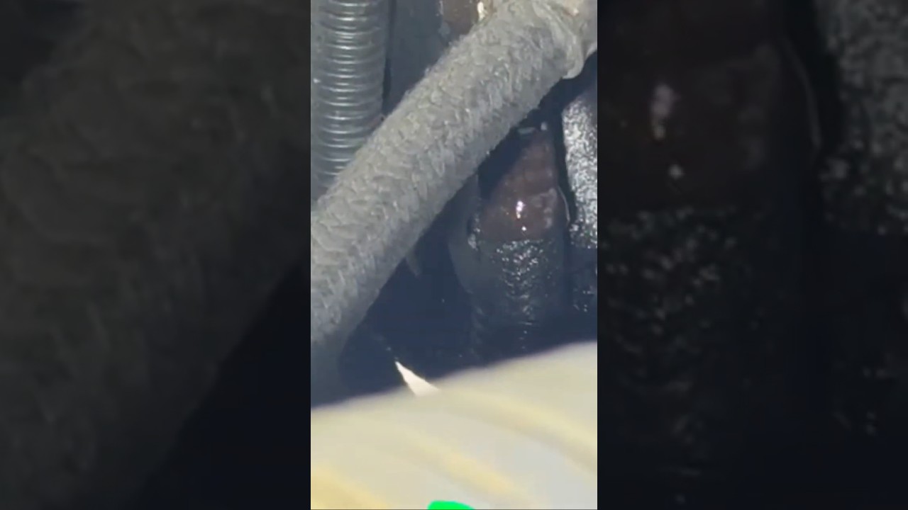 💧🚛 Fuel Leak ALERT! 🔍 Return Line Failure on Cylinder Head