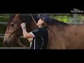 How horses are healing childhood trauma | Pressure and Release