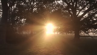 Download Lagu My guiding star  (Allow me to find my life´s melody)  by Joachim Goerke Sajema Music Germany MP3