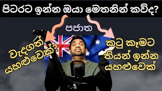 How to Survive in Abroad: පිටරට හෙළයින්ගේ බෙදීම | Australia Sinhala | පජාත කතා