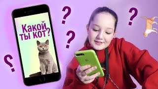 КАКОЙ ТЫ КОТ?🐈 | [ПРОХОЖУ СТРАННЫЕ ТЕСТЫ ИЗ ИНТЕРНЕТА]