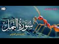 القارئ هاني العزوني | سوره النمل (١٥-٢٦) | Qari Hany Alazzony