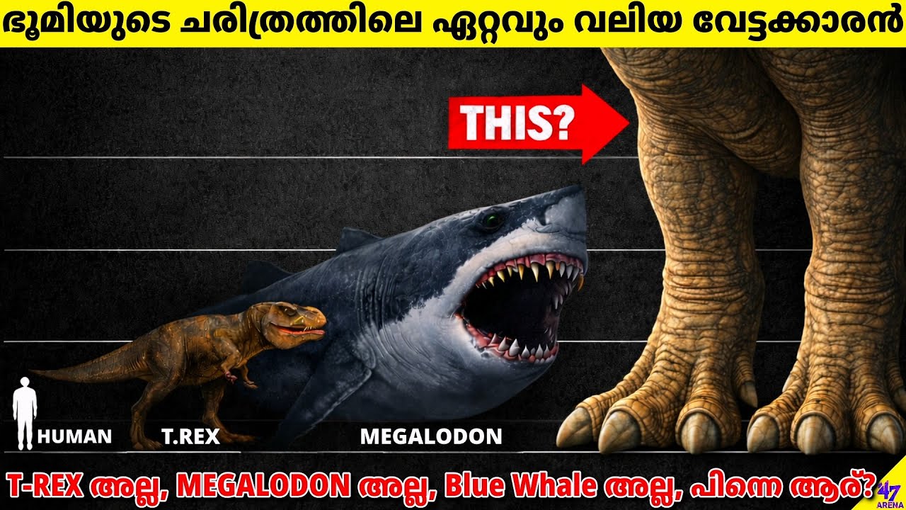 The Largest Apex Predator of All Time Was Not What You Think | 47 ARENA