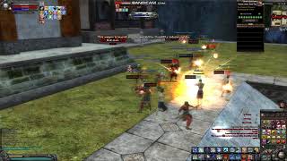 9dragons svs pvp