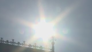 August 2023 reported as hottest one on record