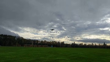 F22 scratch build almost maiden flight